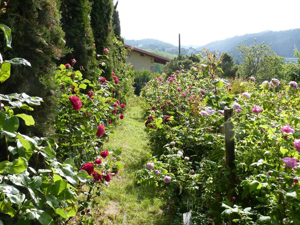 B&B The Roses Garden 밀레시모 외부 사진